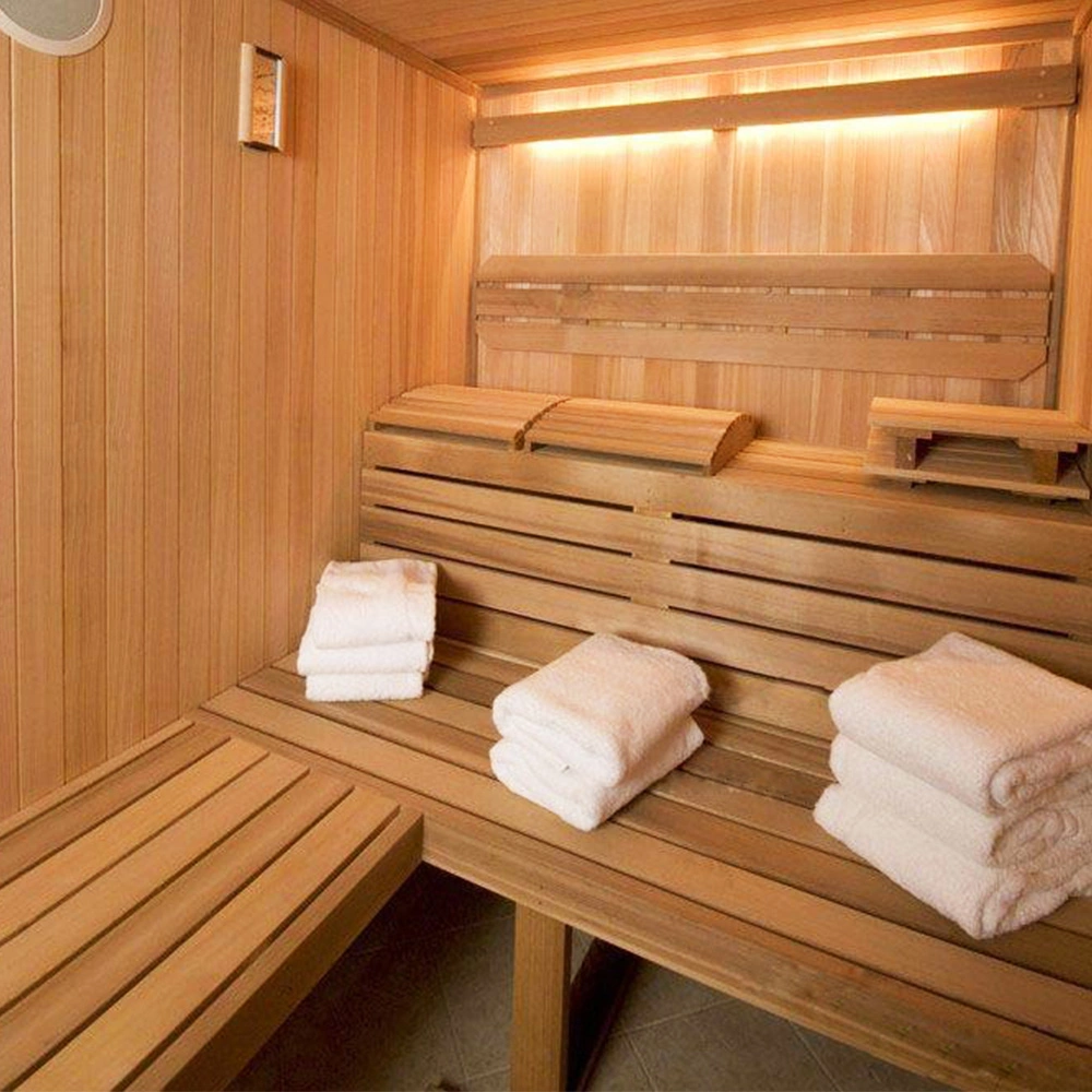 La maison familiale de bonne qualité Sauna sec chambre