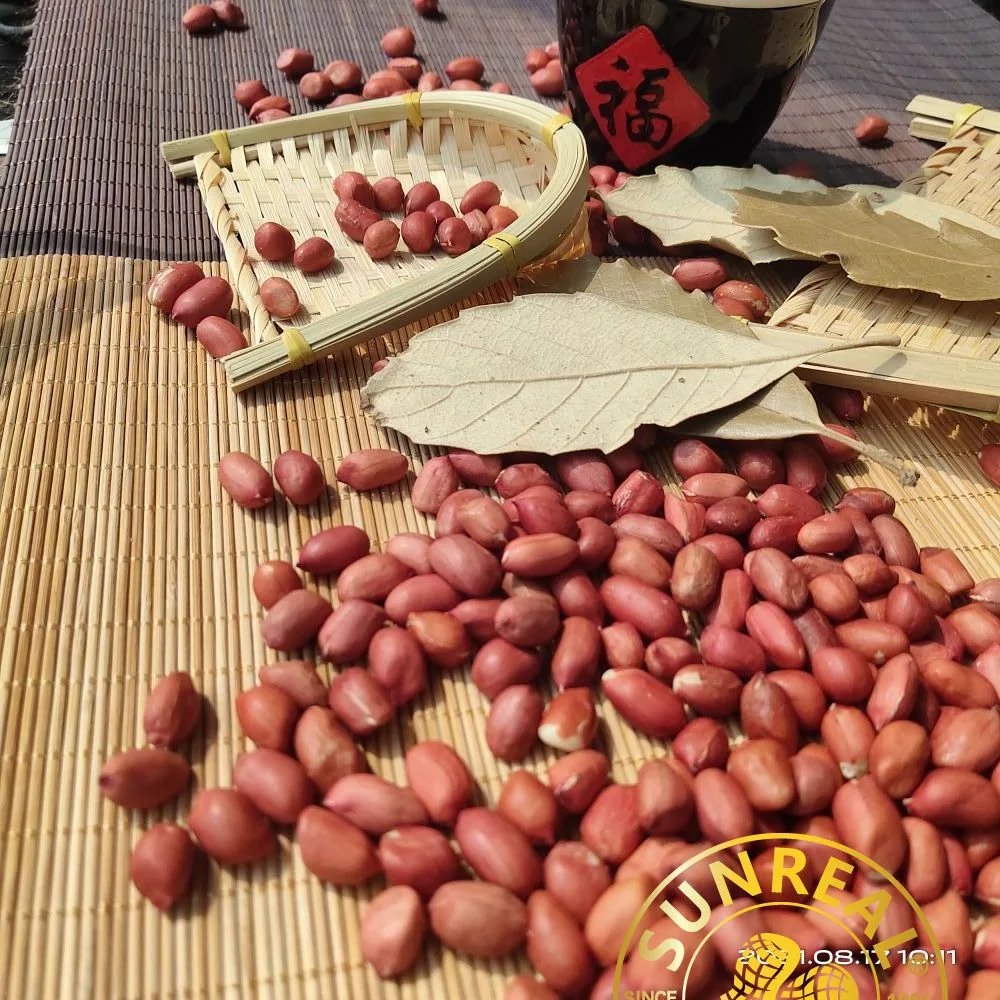 Raw Peanut Kernels/Red Skin/China/Best Quality/New Crop