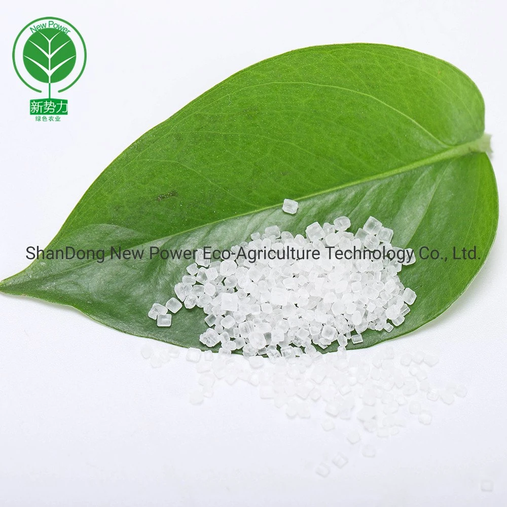 Ammonium Sulphate 21%N Crystal Bulk as Nitrogen Fertilizer