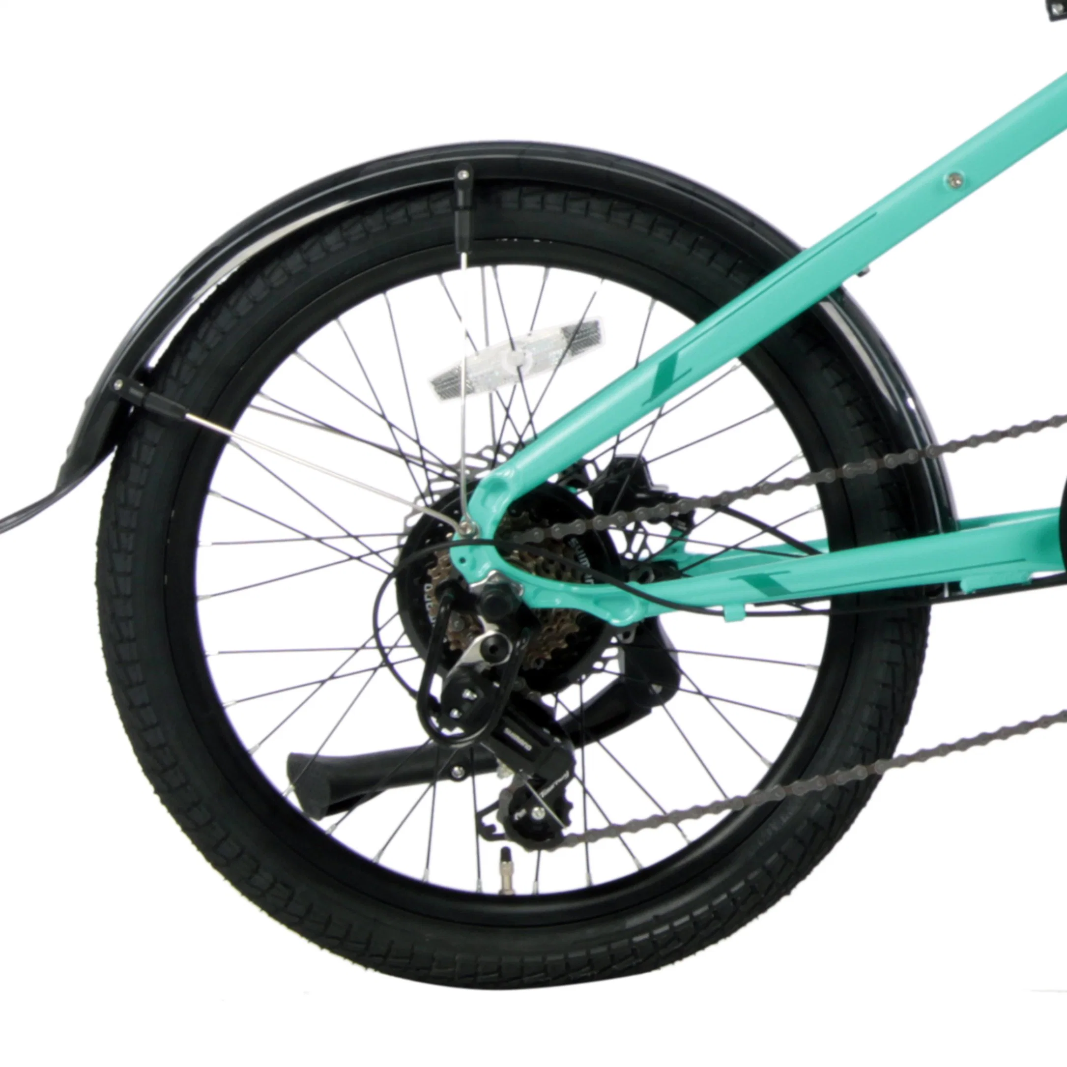 CE Certification Wholesale/Supplier Ebike 250W Hub Motor Folding Ebike