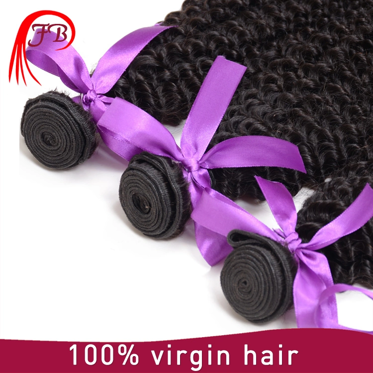 Wholesale Cheap Price Human Hair Weave Brazilian Hair in China Afro Kinky Curly Hair Bundles