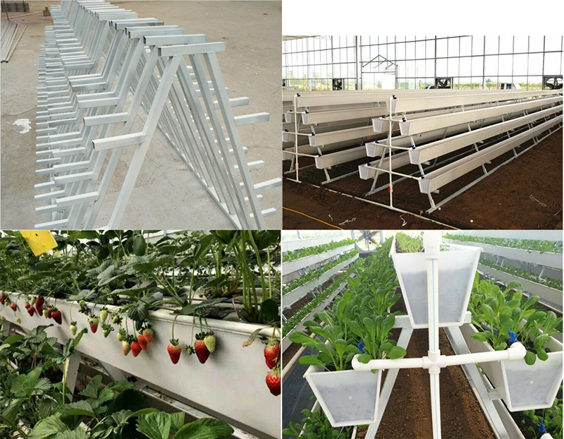 Greenhouse PVC Nft Gutter Growing Strawberry Gully Growing System