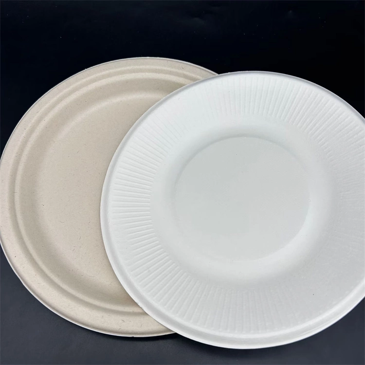 Hot Selling Cane Pulp 100% Compostable Bagasse Plates