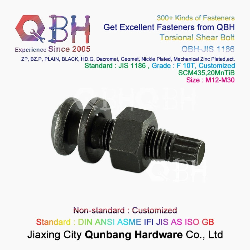 Qbh Customized Carbon Steel Cold Hot Forging High Strength Steel Structure Railroad Tension Control Tc Bolt Nut Washer Boiler Spare Parts