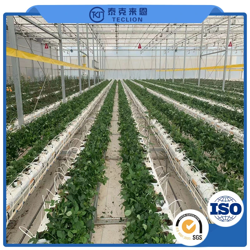 Nft Channel System Hydroponics Agricultural Leafy Vegetable Hydroponics System Professional Chinese Manufacturer