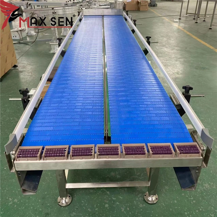 POM Blue Plastic Modular Belt Conveyor System From China Manufacture