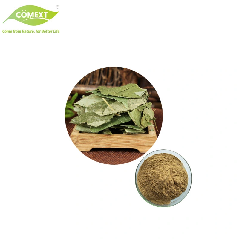 Complementa las materias primas Epimedium Horny Goat Weed Extracto para el 10%-98% Lcariin por HPLC.