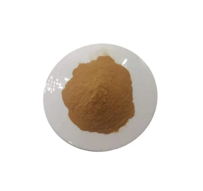 Ginkgo biloba استخراج 24 ٪ من النكهات الإجمالي 6 ٪ Terpene Lactones 5 ppm