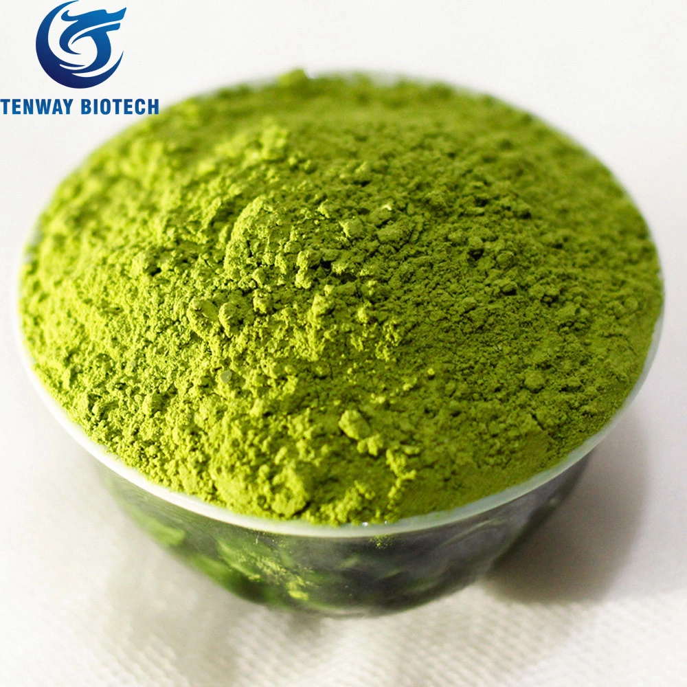 Bulk Packing Top Quality Healthy Food Natural Green Tea Powder/Matcha Powder From China Manufacturer