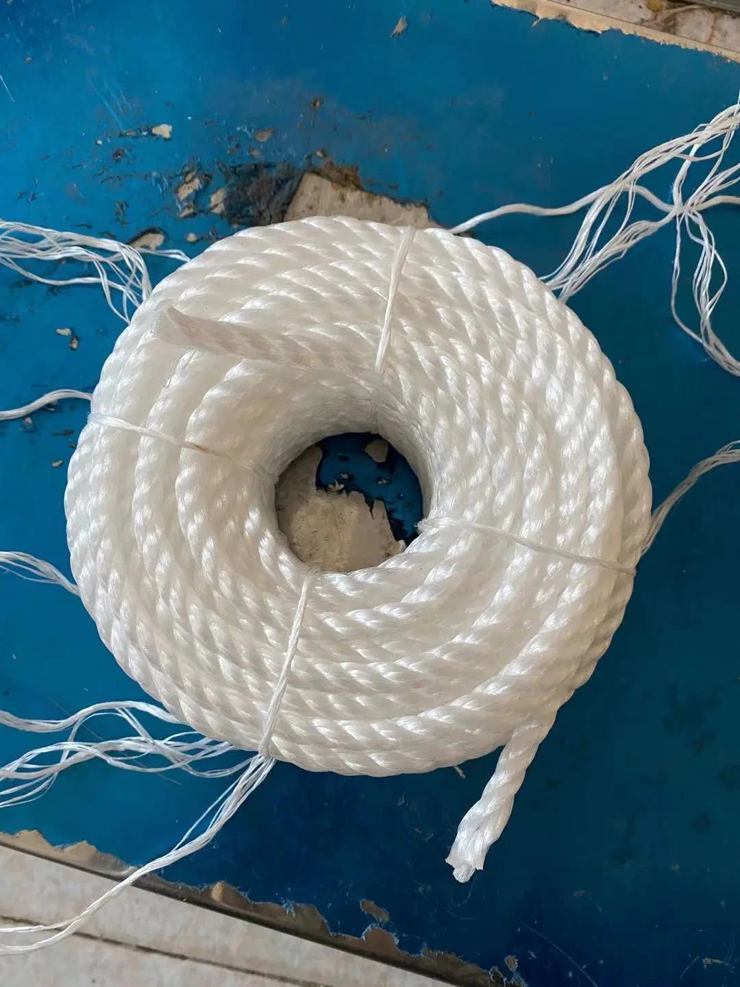 Plastic Rope PE Polyethylene Rope for Agricultural