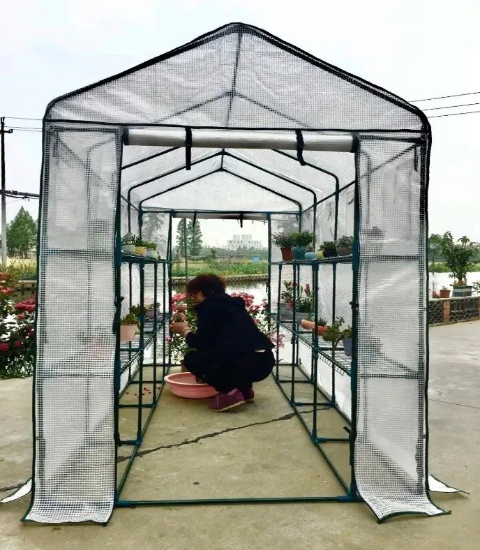 Mini Greenhouse Factory Preis DIY Indoor PVC Greenhouse / Garten Green House Hohe Qualität/hohe Kostenleistung Tragbare Gewächshäuser