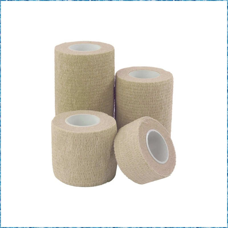 Free Samples CE FDA Pet Horse Veterinary Printed Cohesive Elastic Bandage