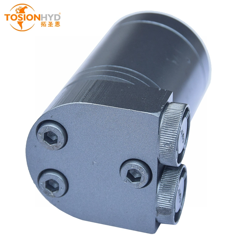 Bmm40 Omm40 Bmm/Omm 500rpm Orbital Dynapac Hydraulic Gear Motor