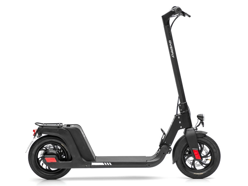 Hub Drive Motor Scooter Ebike Load Bearing 100kg with Integrated Battery