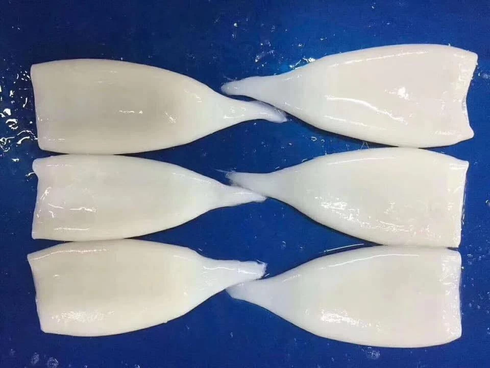 Fruits de mer surgelés IQF sans peau Squid Calamari tube avec bon prix