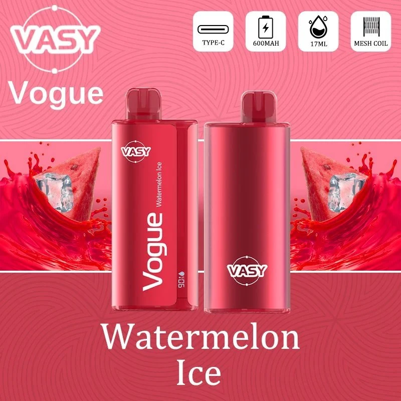 Оригинальный одноразовый Vape Vasy Vogue 7000 Puffs оптовой E прикуриватель первого ряда сидений