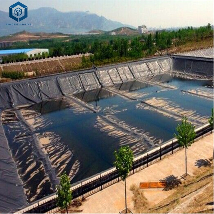 Other Earthwork Products Geomembrane 0.5mm for Fish Shrimp Pond in Peru