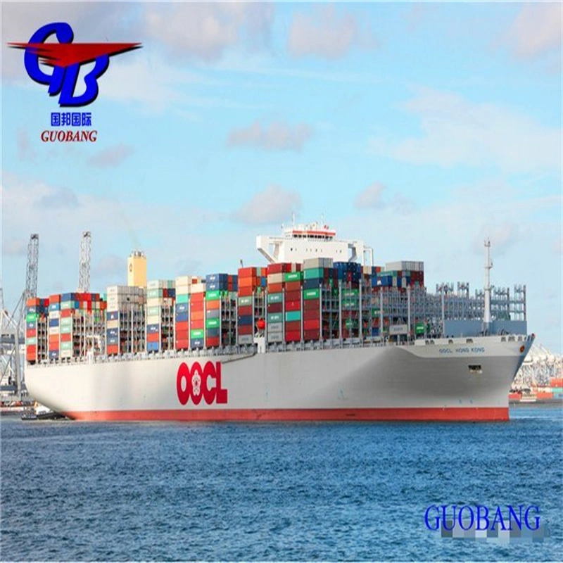 Sea Shipping Freight Forwarder From Shanghai/Shenzhen/Guangzhou to Canada