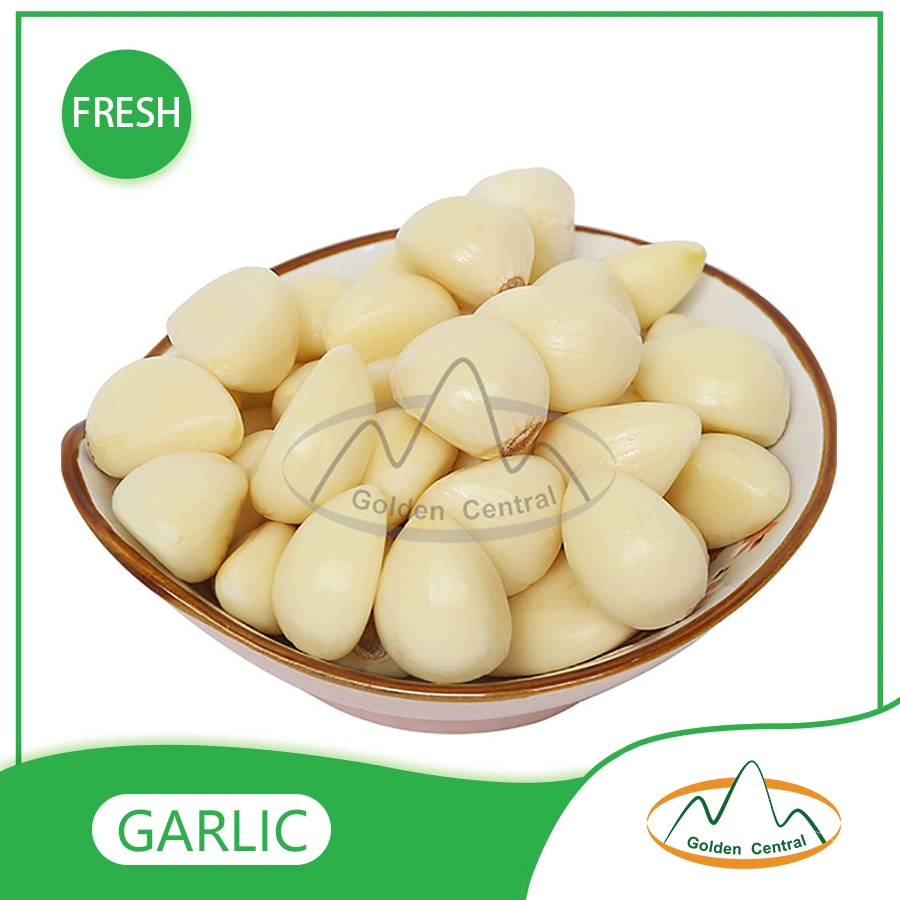 Wholesale/Supplier Export Fresh High quality/High cost performance  Peeled Garlic