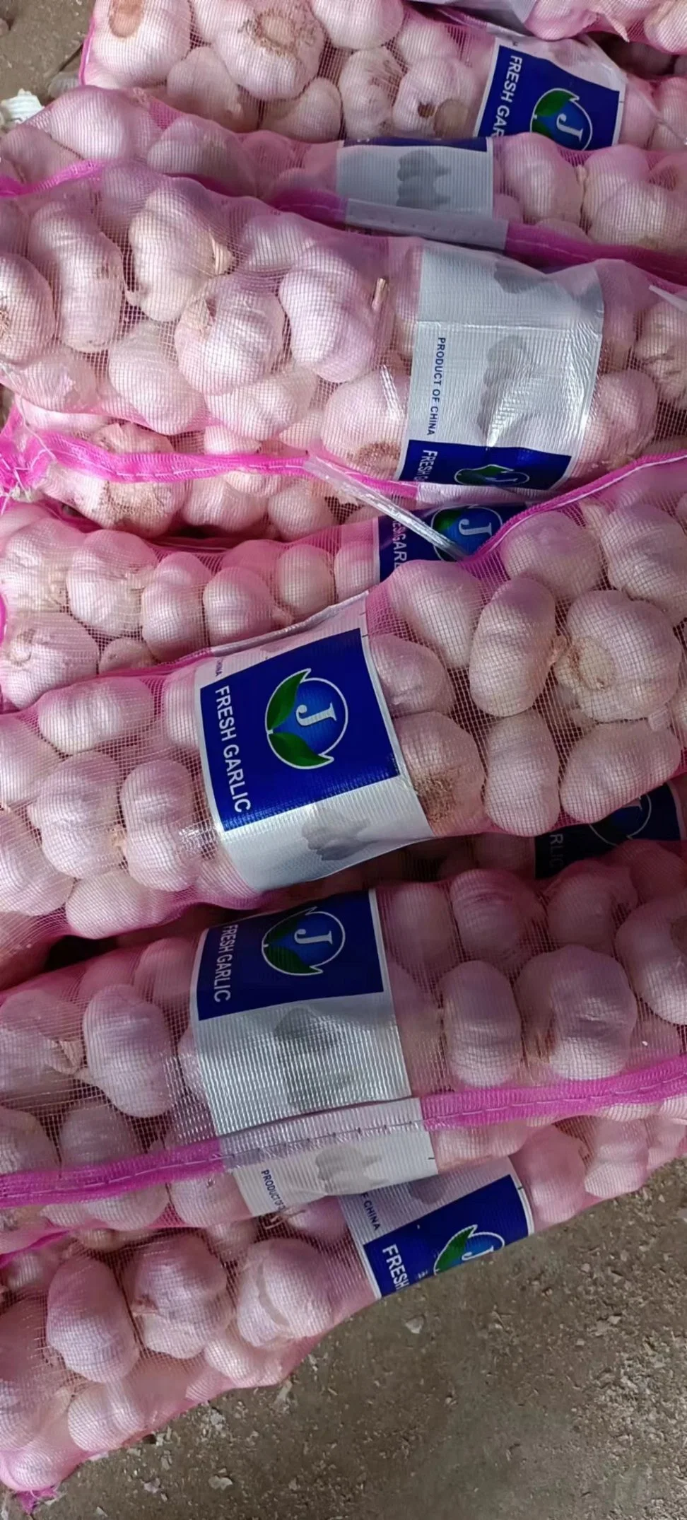 Wholesale/Supplier 4.5cm 5.0cm 5.5cm 6.0cm 10kg Carton Pure/Normal White Fresh Garlic Price