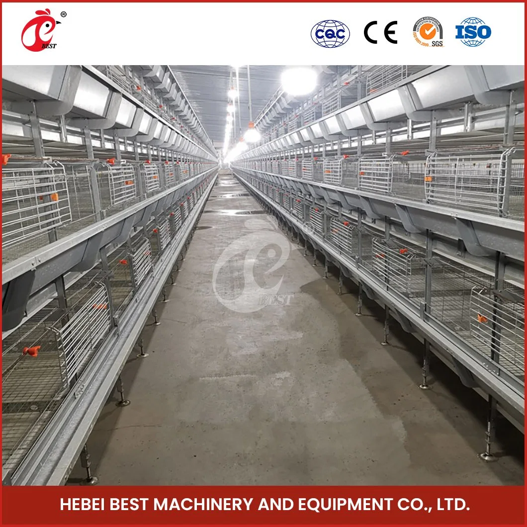 Bestchickencage China Simple Hen House Supplier H Frame Automatic Boriler Cages OEM Custom Steel Material Free Range Chicken Cage