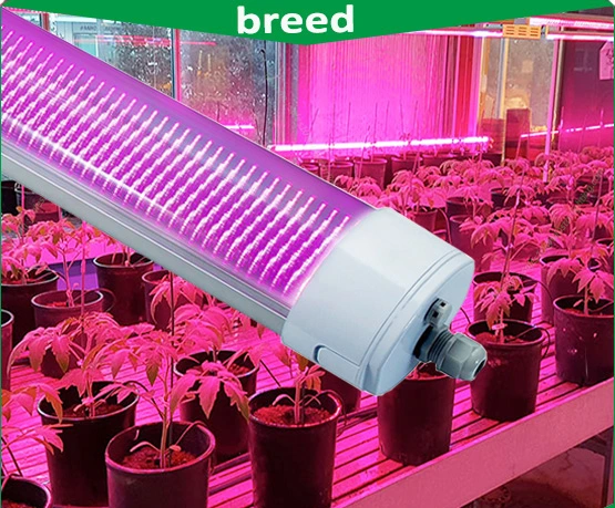 China Wholesale/Supplier Distributor 150W IP65 LED Grow Light, LED Tri Proof Light, LCD Screen, Mini Projector