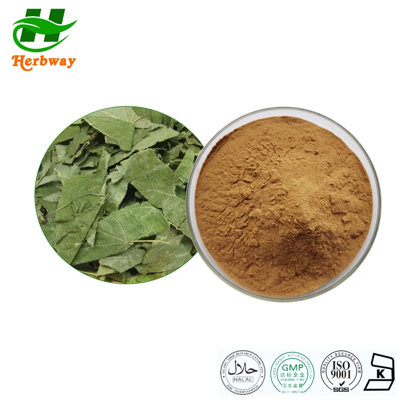 Factory Supply Ginseng Extract Food Additive Free Sample for Man's Health Epimedium Brevicornum Maxim Epimedium Extract Powder