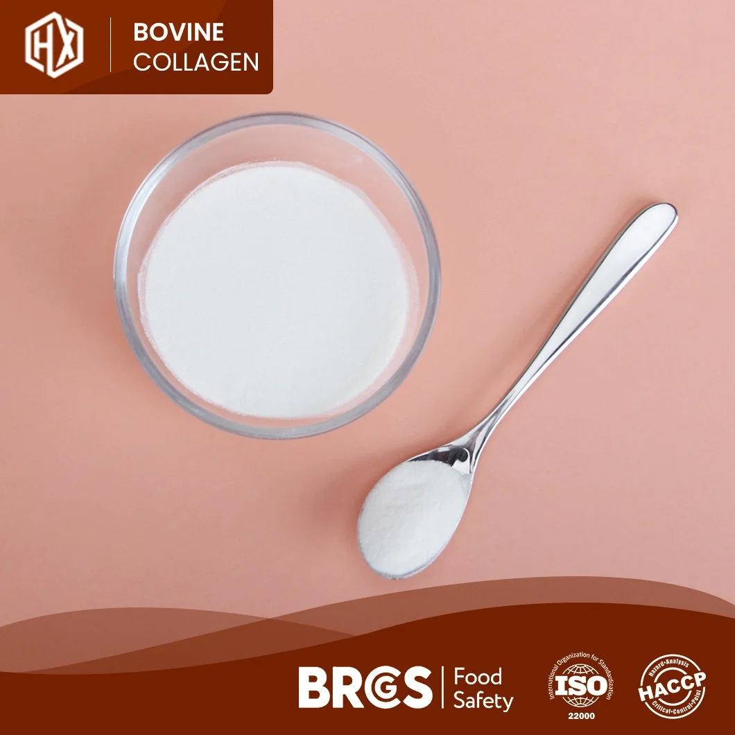 Haoxiang Quality Bovine Bone Collagen OEM Customized Flavourless Pure Bovine Collagen China Manufacturers One-Stop Service Cheap Price Collagen Peptides Gelatin