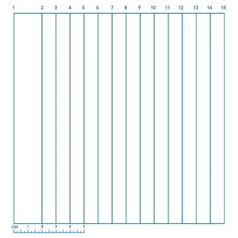 X-ray Detectable Grid Tissue Injection Marks Positioning Tape