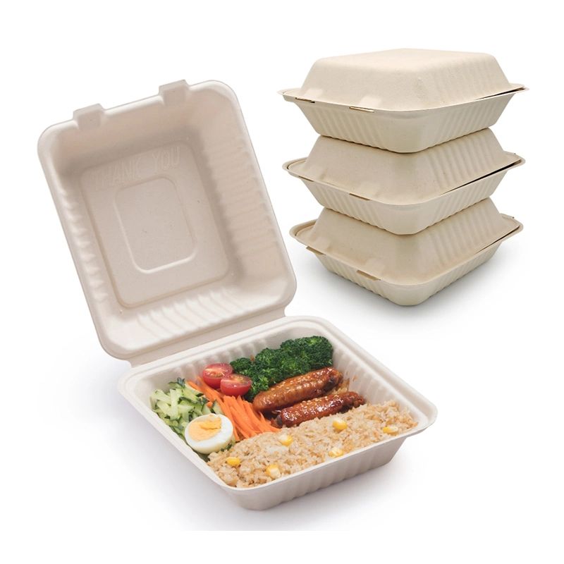 Biodegradable Tableware Bagasse Products Disposable Food Box