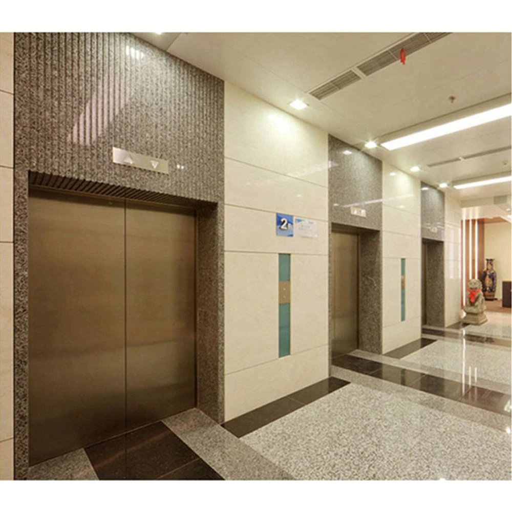 Widely Used 1000kg 8 Person Hotel Passenger Elevator