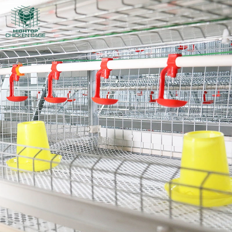 High quality/High cost performance Poultry Farming Equipment H-Type Battery Automatic Chicken Cage for Broiler