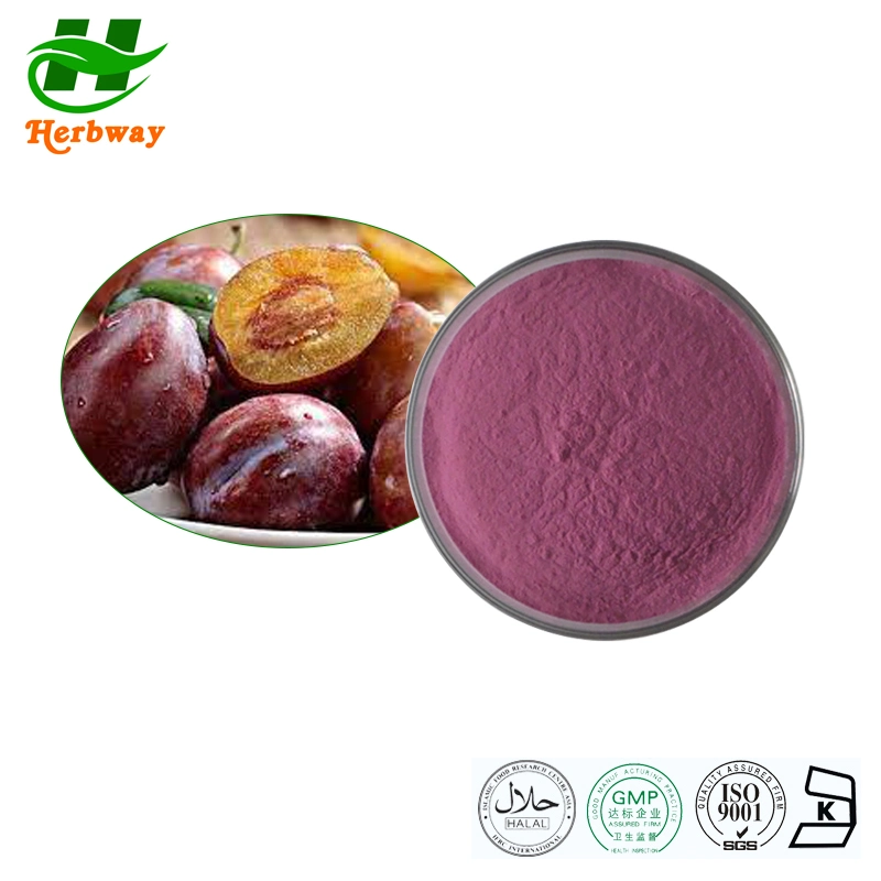 Herbway Kosher Halal Fssc HACCP Certified Wholesale/Supplier Price Instant Concentrate Powder