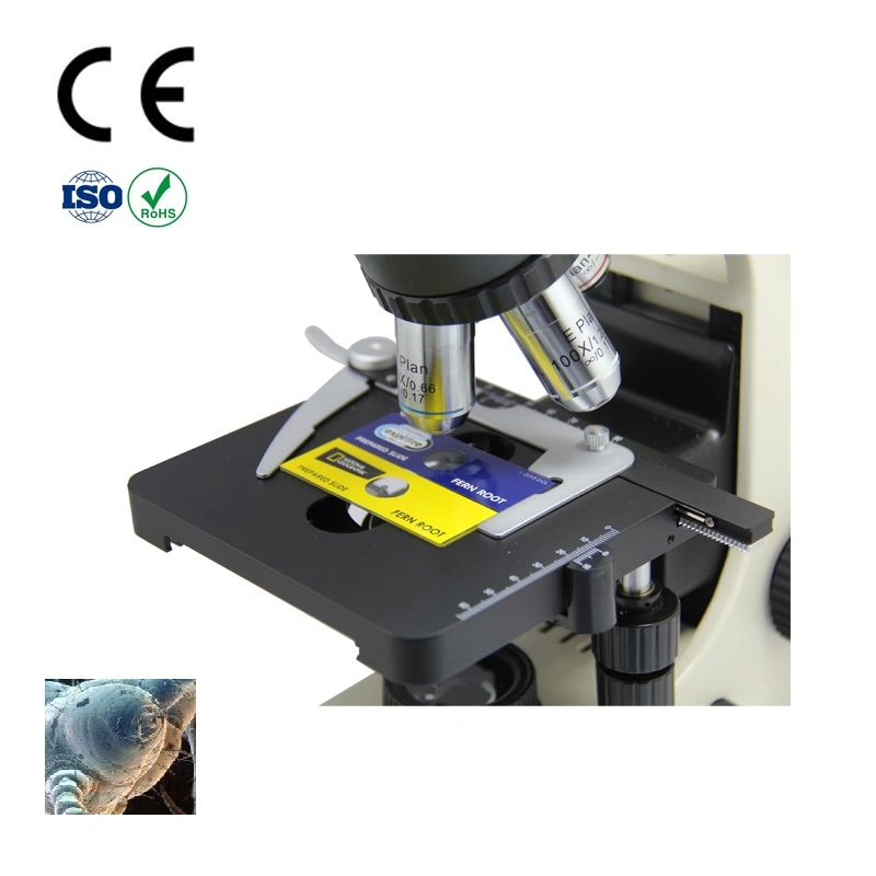 Laboratory Quadruple Nosepiece Biological Microscope Factory Price for Smart-3LED