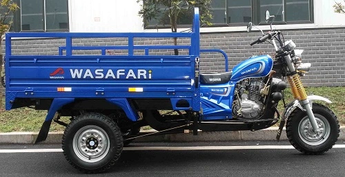Nuevo cargamento Trike Tuktuk para África de la carretera resistente Rickshaw triciclo eléctrico pasajero