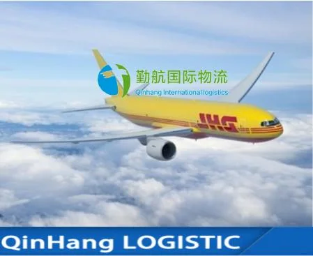 International Express From China to Greenland Shipping DHL/UPS Freight Forwarder