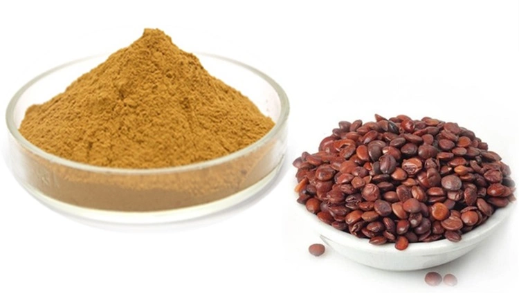 E.K Herb Free Samples 4: 1-20:1 Semen Ziziphi Spinosae Powder Extract Chinese Red Date Extract Polysaccharides 50%-70%Red Jujube Extract Ziziphus Jujube Extract