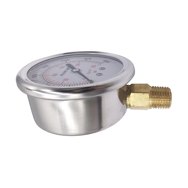 Cheap High Pressure Gauge with Brass Pressure Gauge