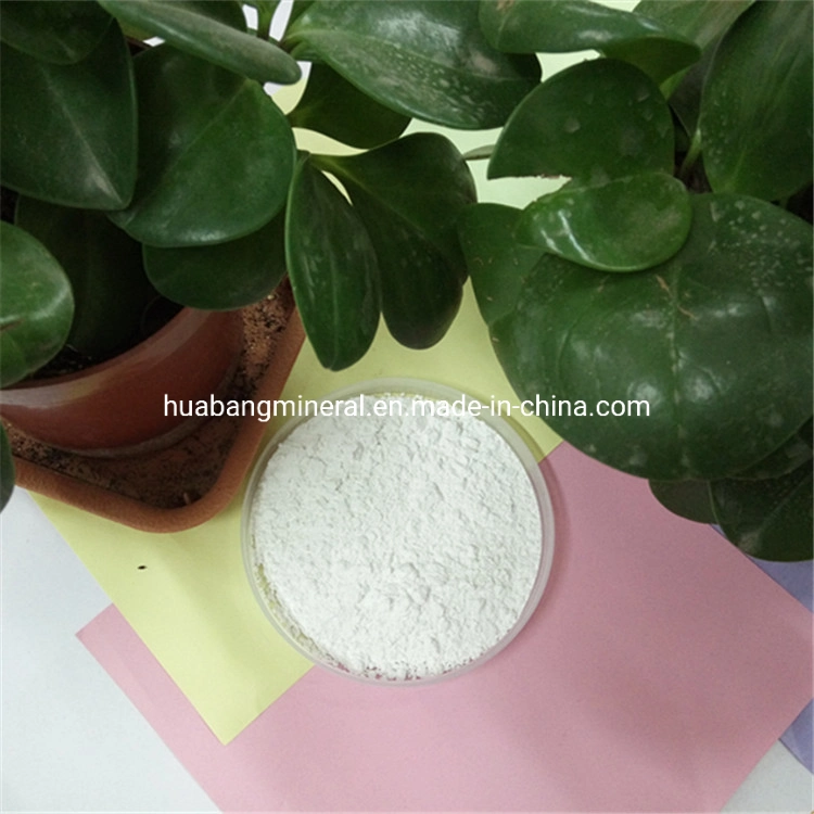 China Cheap Price Calcium Carbonate Powder