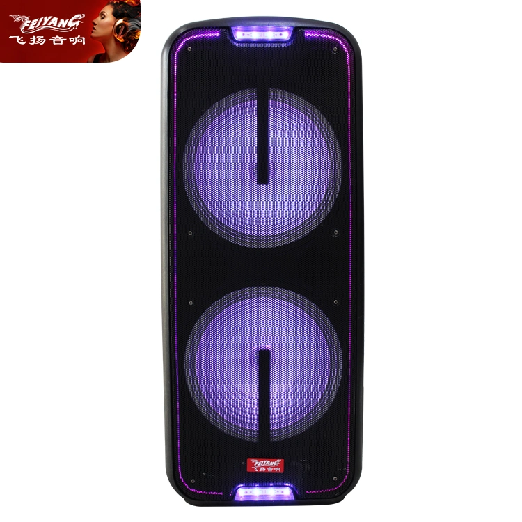 Super Bass Active Double 10 Inch Battery Amplifier LED Light Microphone USB Bluetooth Audio Loud Speaker