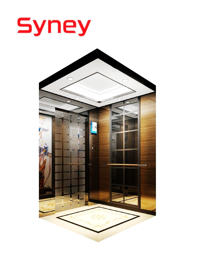 China Brand Elevator Supplier Goods Home Lift Passenger Elevators with Luxury Decoration Mirror Etching Stainless Steel