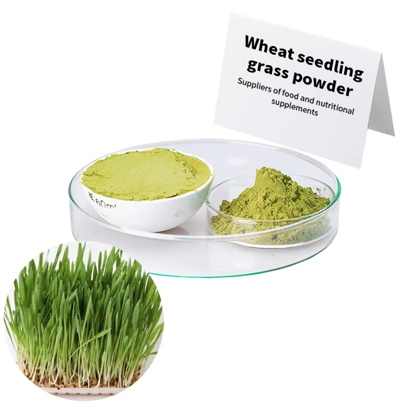 Unlock The Nutritional Power in Your Next Dishes Wheat Grass Powder