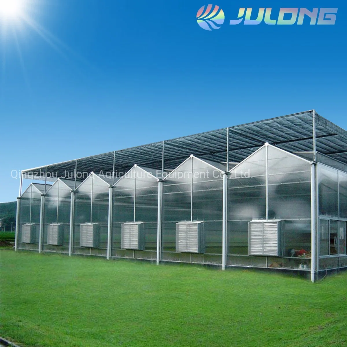 Professional Venlo Type Steel Pipe Commercial Agriculture Greenhouse with Cooling System