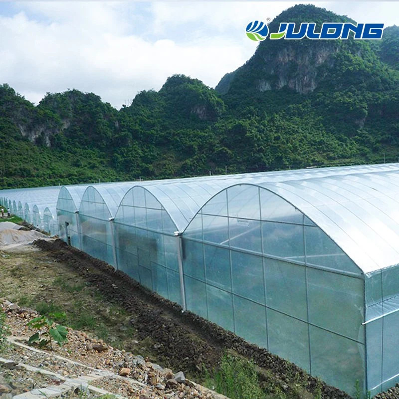 Multi Span Económico Agricultural Grow Tunnel Plastic Film Greenhouse for Verduras
