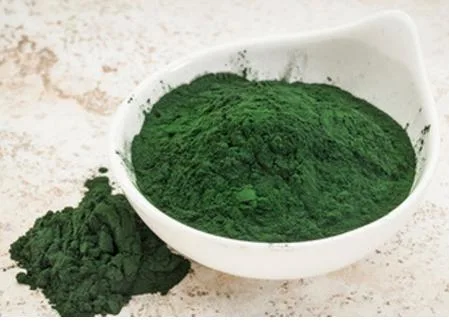 Grau alimentício orgânicos Alimentação Fabricante Chlorella vulgaris 60% proteína Chlorella em pó