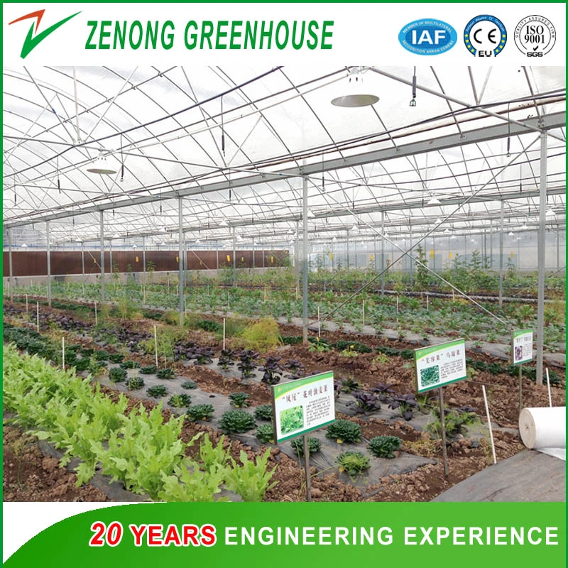 Low Cost Plastic Film Greenhouse for Vegetables/Cucumber/Tomato