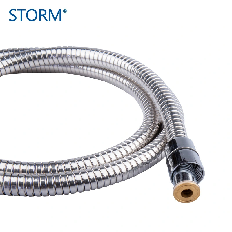 Sanitary Ware Faucet Pipe Double Lock Stainless Steel Extensible Tube Shower Hose