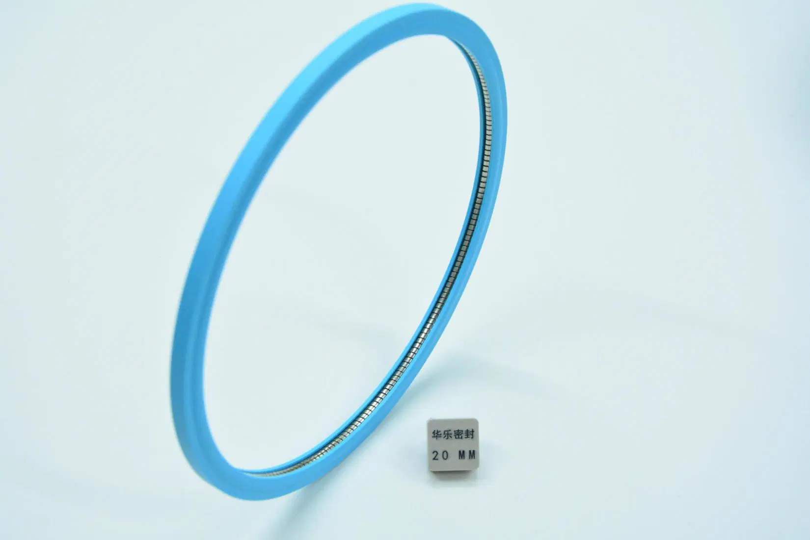 Turquoise Turcon Variseal Hf Dve401920-T05s Hydraulic Piston Seals