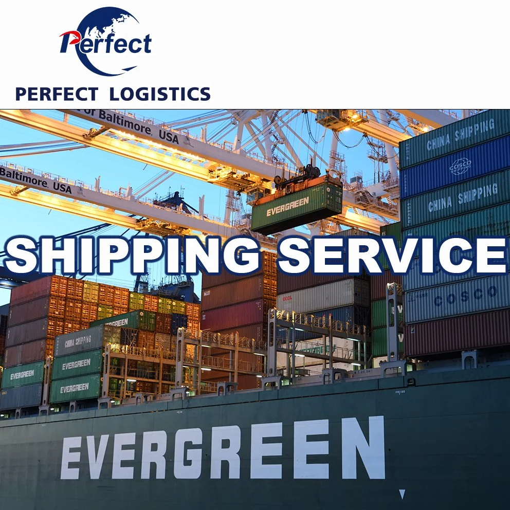 Air/Sea Freight Shipping Agent From China to USA Canada Europe Best Price with Customs Tax/Duty Best Price