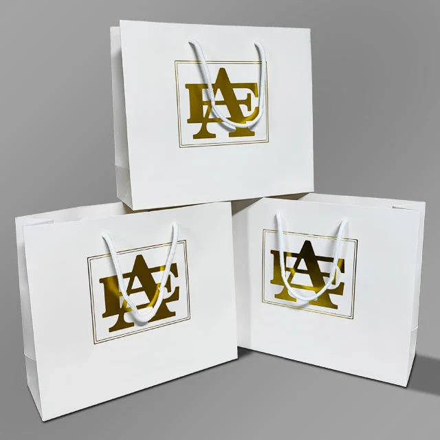 Recycled Custom Cardboard Luxury Gift Paper Bags and Boxes with Handle for Shopping Bag with Your Own Logo